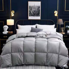 Down Duvet, Winter Duvet, Goose Down Duvet Core, Air Conditioner (Option: Grey-180x220cm-4)